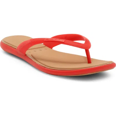 Reef Water Willow Malibu Sandals In Red