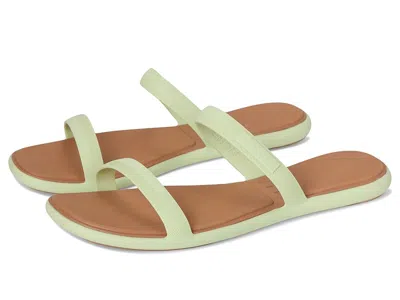 Reef Water Willow Marina In Green