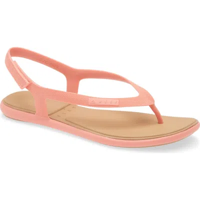 Reef Water Willow Maya Slingback Sandal