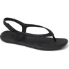 Reef Water Willow Maya Slingback Sandal In Black