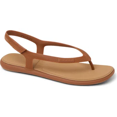 Reef Water Willow Maya Slingback Sandal In Brown
