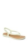 Reef Water Willow Maya Slingback Sandal In Green