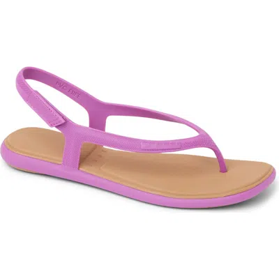 Reef Water Willow Maya Slingback Sandal In Pink