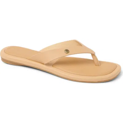 Reef Willow Ella Flip Flop In Brown