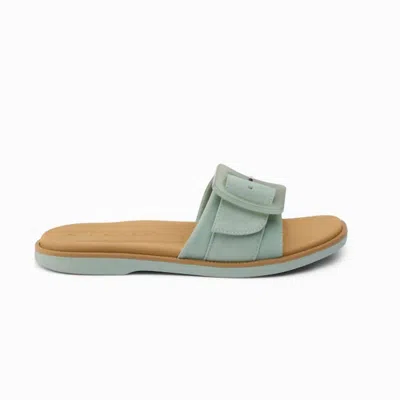 Reef Women's Sunny Emma Sandal In Frosty In Multi