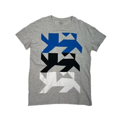 Reet Aus Men's Grey / Blue / Black T-shirt For Men, Lion In Multi