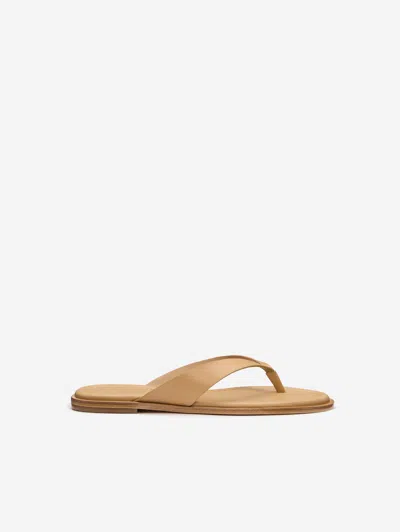 Reformation Jessie Thong Sandal Natural 9.5 In Brown