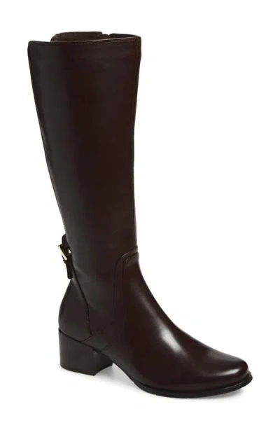 Regarde Le Ciel Jolene Knee High Boot In Black
