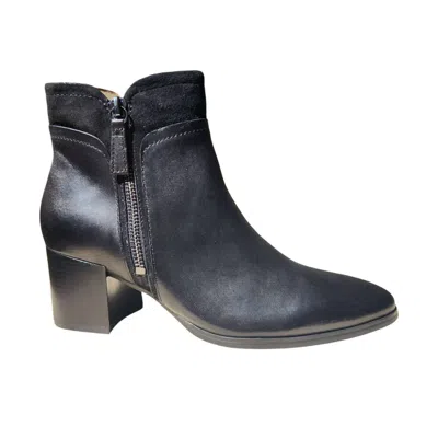 Regarde Le Ciel Women's Ankle Boots In Black