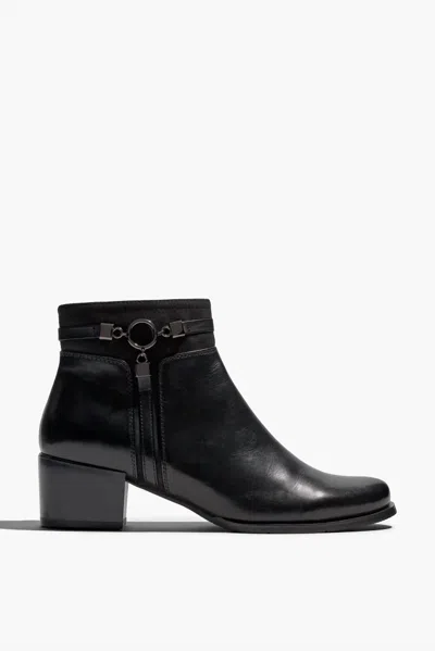 Regarde Le Ciel Women's Delice Etna Bootie In Black