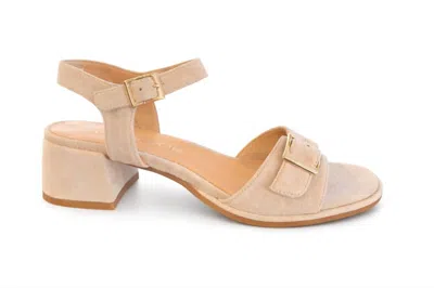 Regarde Le Ciel Women's Nory Sandałs In Ivory Suede In Multi