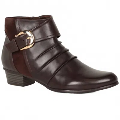 Regarde Le Ciel Women's Stefany Ankle Boot In Brown