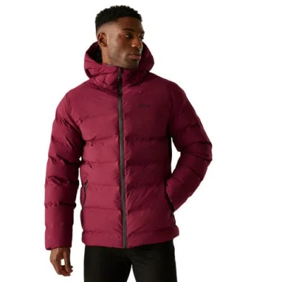 Regatta Altoro Thermal Waterproof Jacket In Burgundy