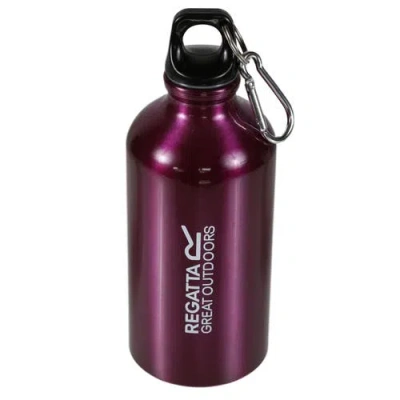 Regatta Aluminum Bottle In Azalia