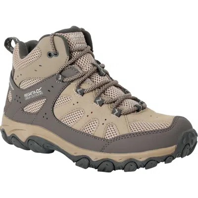 Regatta Edgepoint Iv Mid Cut Walking Boots In Multi