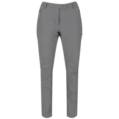 Regatta Highton Walking Pants In Gray