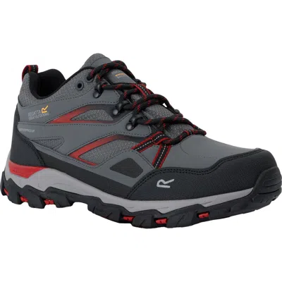 Regatta Holcombe 3 Low Walking Boots In Gray