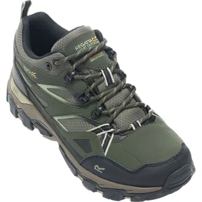 Regatta Holcombe 3 Low Walking Boots In Multi