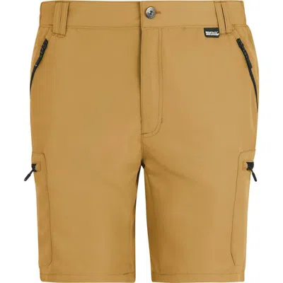 Regatta Leesville Iii Shorts In Brown