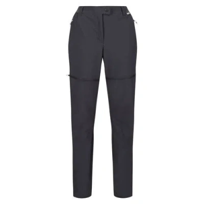 Regatta Mountain Zip-off Pants In Gray