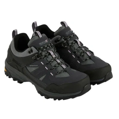 Regatta Regen Low Walking Shoes In Multi