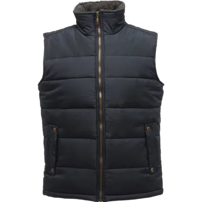 Regatta Standout Altoona Insulated Bodywarmer Jacket In Blue