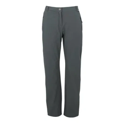 Regatta Travel Light Ii Packaway Hiking Trousers In Gray