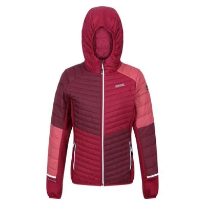 Regatta Trutton Puffer Jacket In Multi