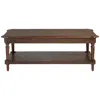 Regency Hill Pullman 48" Wide Distressed Walnut Wood Coffee Table