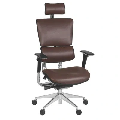 Regency Omega Ergonomic Leather Executive Office Chair With Headrest/adjustable Lumbar Support In Brown
