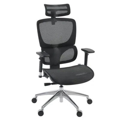 Regency Omega Mesh O-2 Tech Ergonomic Management Office Chair With Headrest/adjustable Lumbar Support - Blac In Black