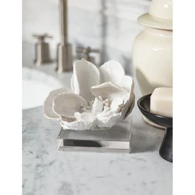 Regina Andrew Magnolia Object In White