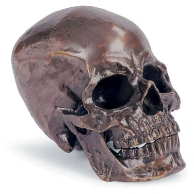 Regina Andrew Metal Skull (antique Bronze) 6.25 Height
