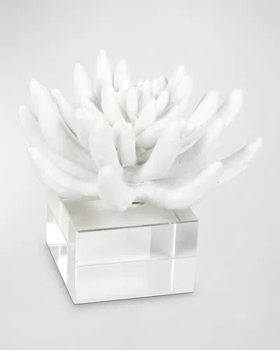 Regina Andrew Succulent Resin Sculpture 2 In White