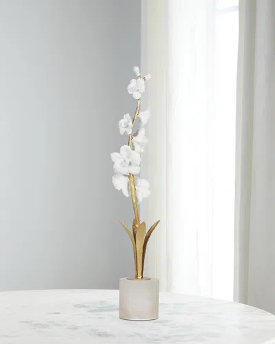 Regina Andrew Thylane Accessory 2 In White