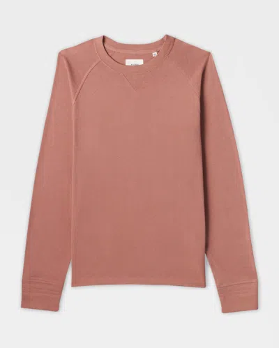 Reid Combed Cotton Crew In Dark Brown