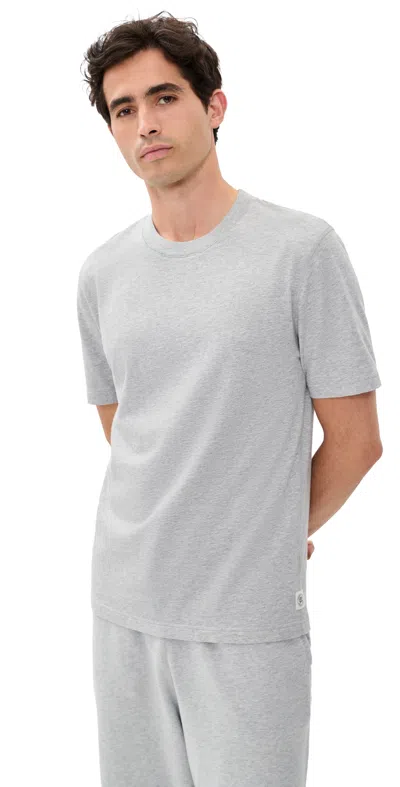 Reigning Champ Standard Midweight Jersey T-shirt Hgrey In Gray