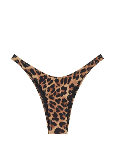 Reina Olga Brigitte Leopard-print Bikini Bottoms In Brown