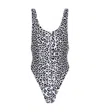 Reina Olga Funky Leopard-print Swimsuit In Black