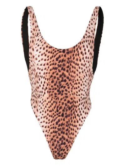 Reina Olga Leopard-print Swimsuit In Pink