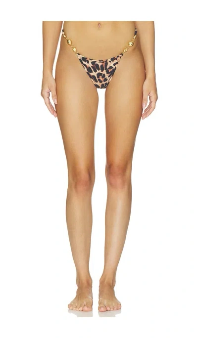 Reina Olga Splash Bikini Bottom In Animal Print