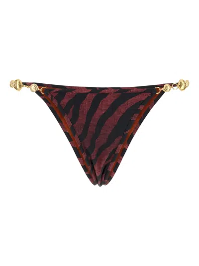 REINA OLGA SPLASH BIKINI BOTTOMS