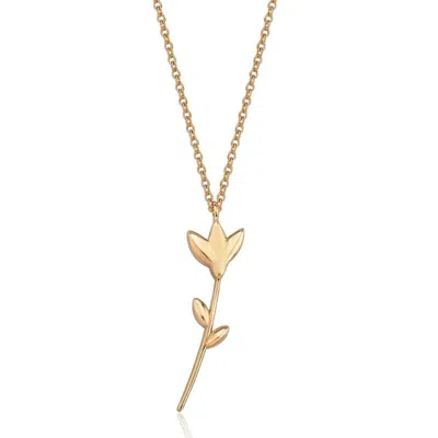 Reis Jewellery Women's Tulip Necklace - Rose Gold