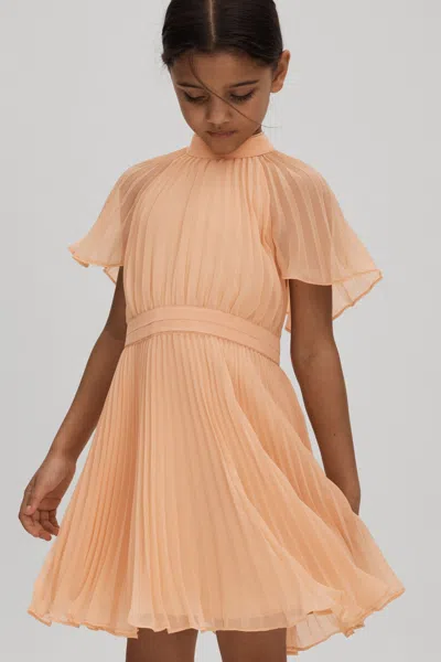 Reiss 5 Years In Apricot