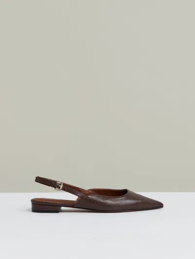 Reiss Chocolate Leather Slingback Ballerina Pumps In Brown