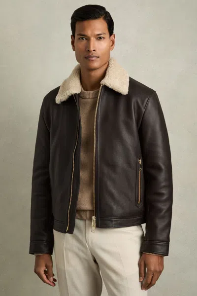 Reiss Dark Brown Shetland Shearling-collar Leather Jacket