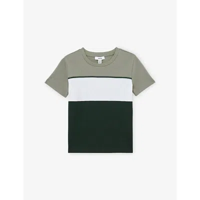 Reiss Kids' Cole Colour-blocked Cotton T-shirt 9-13 In Green