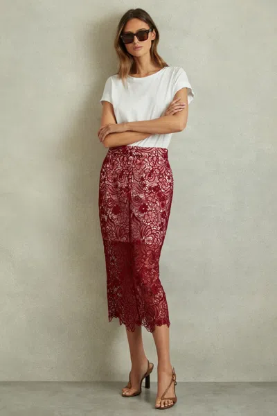 Reiss Flo - Burgundy Sheer Lace Midi Pencil Skirt, Us 2