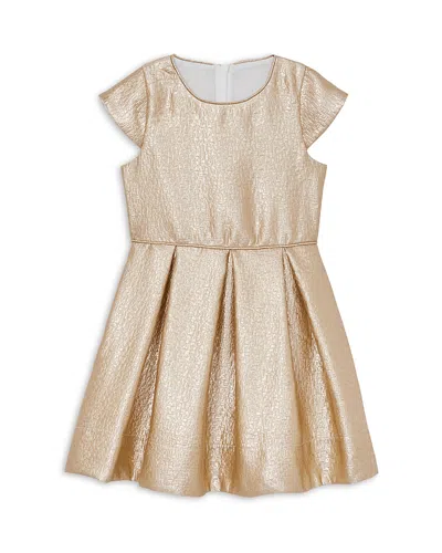 Reiss Girls' Nia Metallic Pleated Cap Sleeve Dress - Little Kid In Gold