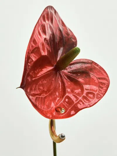 Reiss Gold Anais Tone Pearl Earrings